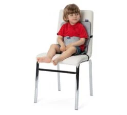 CHICCO Wrappy Seat -Kinderwereld Verkoop chicco wrappy seat 1