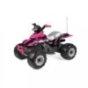 PEG PEREGO Corral T-Rex 330W Quad