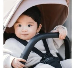 Thule Shine Kinderwagen - Roze -Kinderwereld Verkoop thule shine kinderwagen roze 2